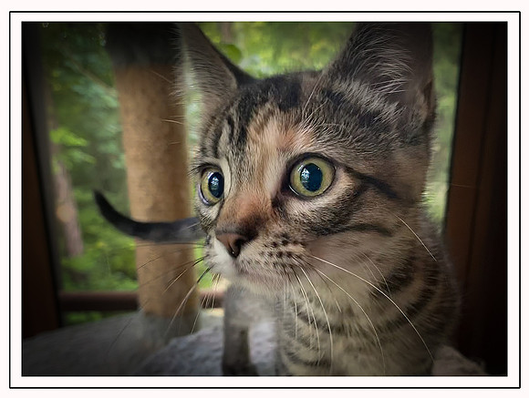 037_DB-IMG_2223-Edit