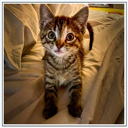 018_DB-IMG_2036-Edit-Edit-Edit