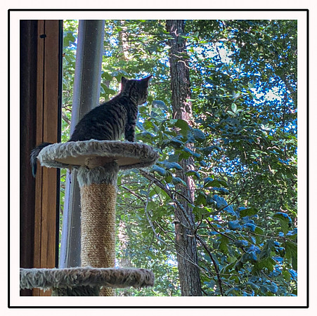 026_DB-IMG_2140-Edit