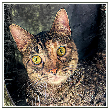 142_DB-IMG_1953-Edit-Edit
