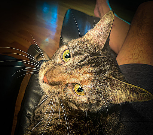153_DB-IMG_3560-Edit