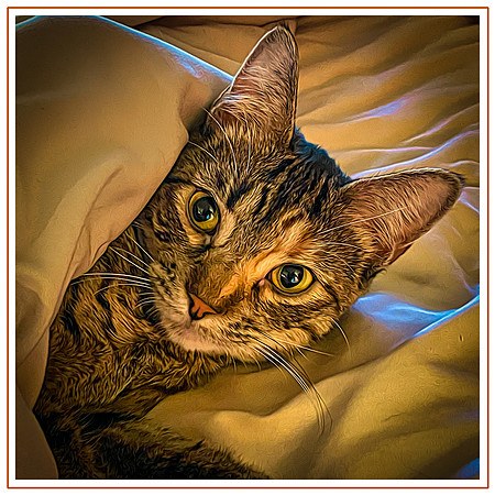 116_DB-IMG_0666-Edit-Edit-Edit