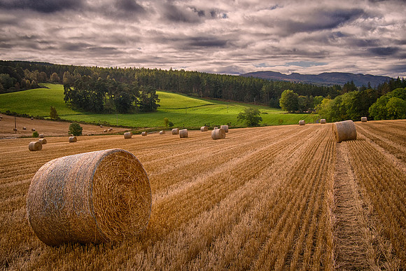 East Shore of Loch Ness