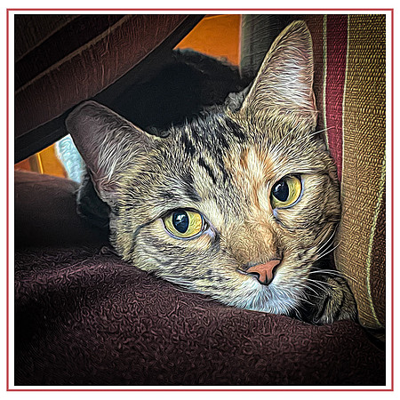 144_DB-IMG_2054-Edit-Edit