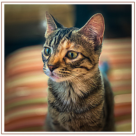 088_DB-IMG_2854 (1)-Edit-Edit-Edit-Edit-Edit