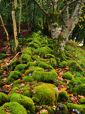 Dunstaffnage Castle Ruin