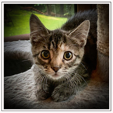 036_DB-IMG_2212-Edit