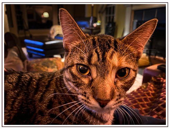 108_DB-IMG_0351-Edit-2-Edit