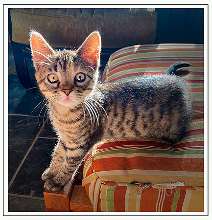 044_DB-IMG_2309-Edit-Edit-Edit