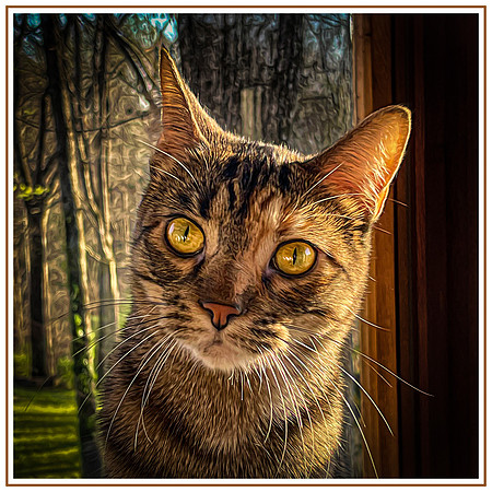 149_DB-IMG_2283-Edit-Edit