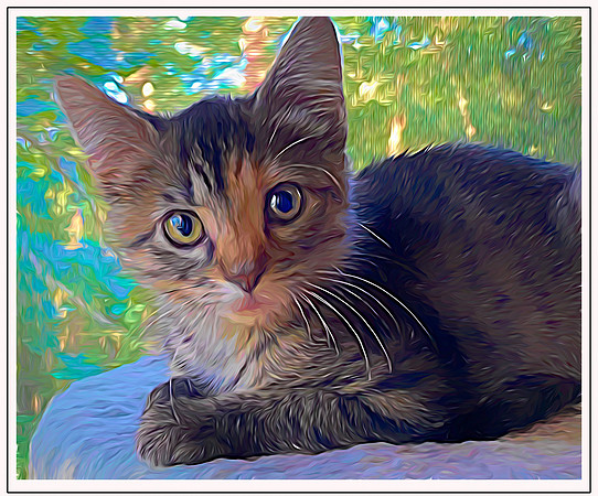 032_DB-IMG_2181-Edit-Edit