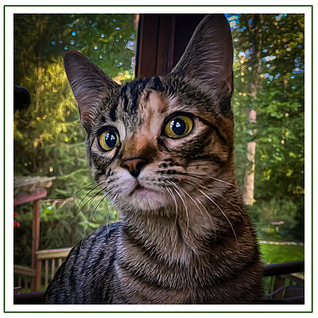 094_DB-IMG_2944-Edit-Edit