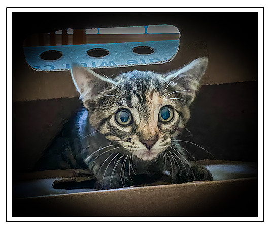 039_DB-IMG_2235-Edit-Edit