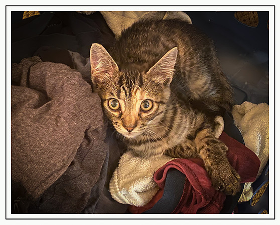 042_DB-IMG_2295-Edit-Edit-Edit