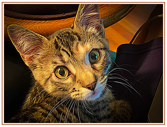 052_DB-IMG_2367-Edit-Edit