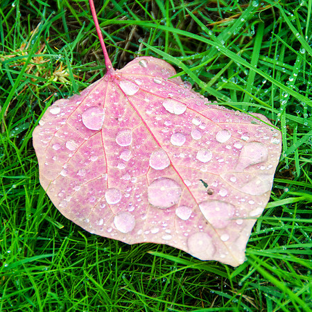 Porltand Nov 2011