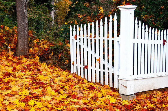 Ashland OR Nov 2011