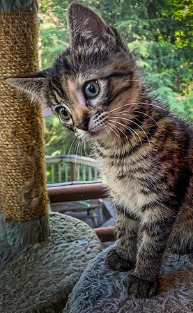 021_DB-IMG_2086-Edit