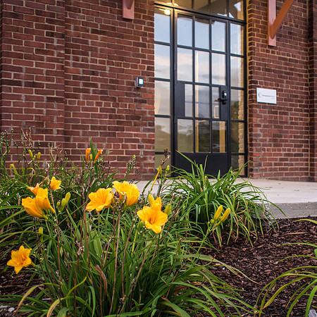 NEC: Things Grow Here