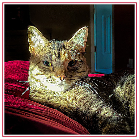 147_DB-IMG_2195-Edit-Edit