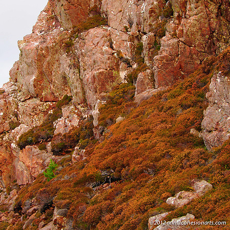 Wester Ross
