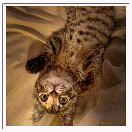 035_DB-IMG_2192-Edit-Edit