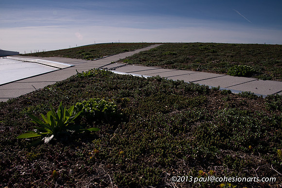 Music City Center - March 20, 2013