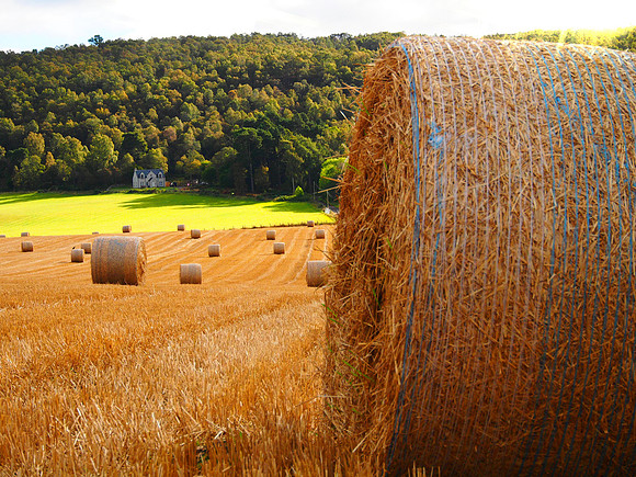 East Shore of Loch Ness