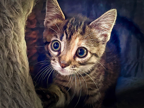 011_DB-IMG_1972-Edit