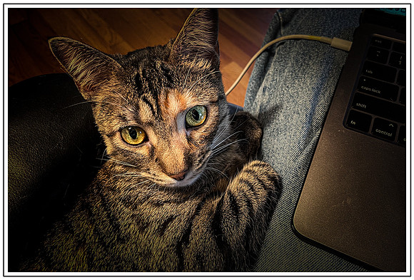 124_DB-IMG_1305-Edit-Edit
