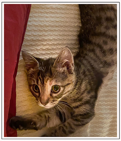 030_DB-IMG_2161-Edit-Edit-Edit