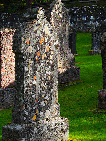 East Shore of Loch Ness