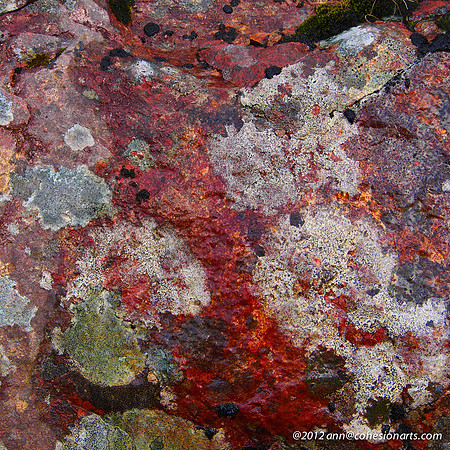 Wester Ross