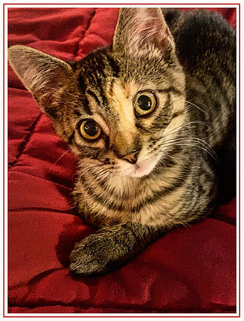 048_DB-IMG_2344-Edit-Edit-Edit