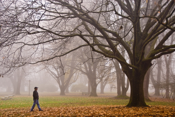 Columbia Park - NW Portland