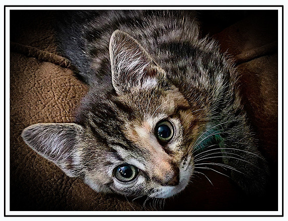 015_DB-Daily Buster IMG_2006-Edit