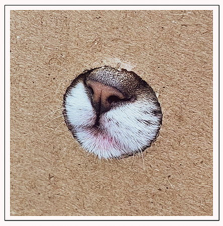 038_DB-IMG_2233-Edit