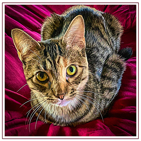 114_DB-IMG_0524-Edit-Edit-Edit