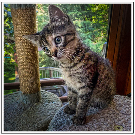 020_DB-IMG_2086-Edit-Edit