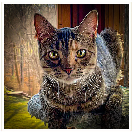 130_DB-IMG_1469-Edit-Edit-Edit