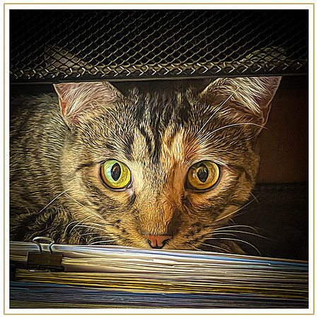 126_DB-IMG_1360-Edit-Edit-Edit