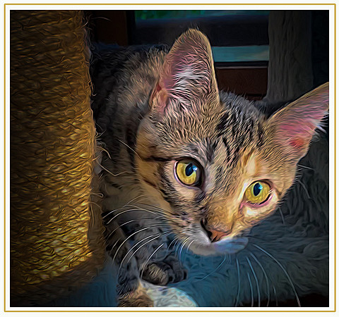 006_DB-IMG_2415-Edit-Edit