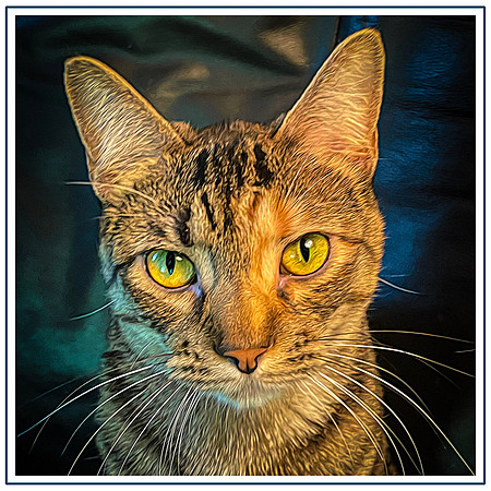 151_DB-IMG_2410-Edit-Edit