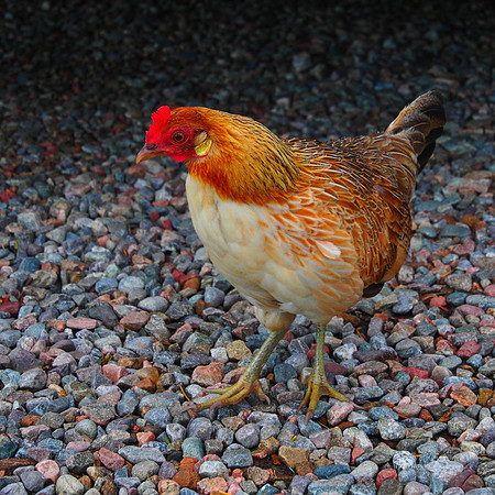 Isle of Skye, Scottish Highlands