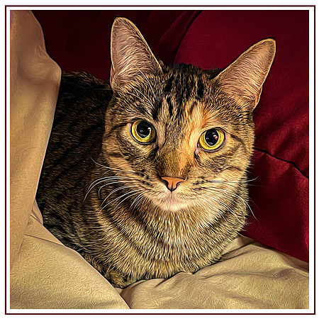 141_DB-IMG_1937-Edit-Edit