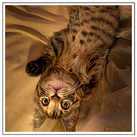 034_DB-IMG_2192-Edit-Edit-Edit