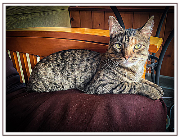 145_DB-buster-img_2144-edit-edit
