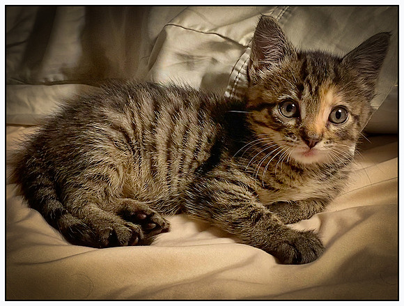 007_DB-IMG_1898 (1)-Edit