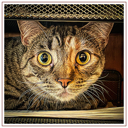 140_DB-IMG_1910-Edit-Edit-Edit