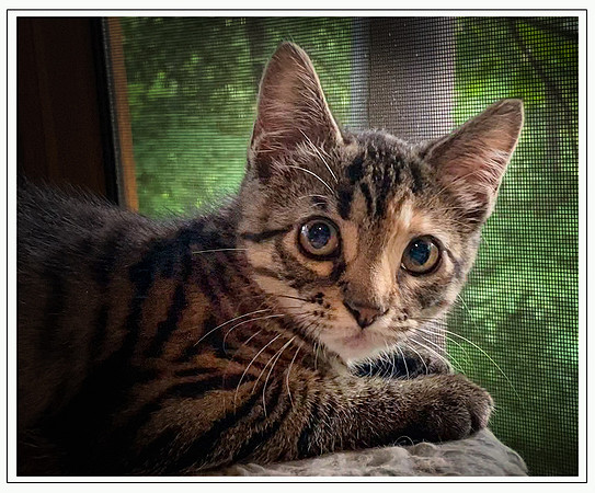 046_DB-IMG_2334-Edit-Edit-Edit